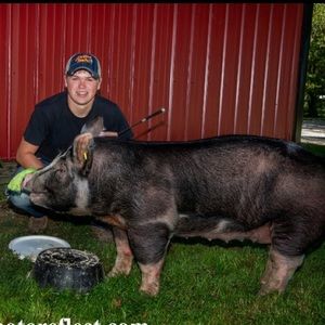 Meet your Posher, Brandon